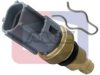 ANGLI 1891 Sensor, coolant temperature